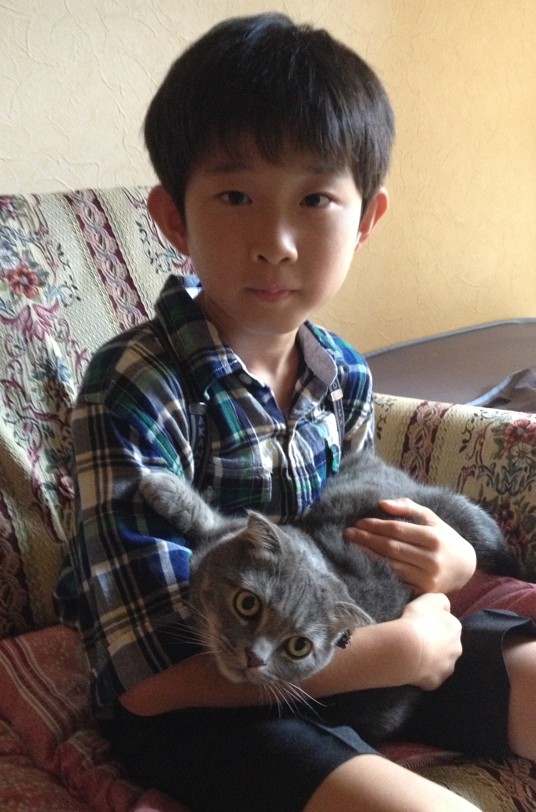 子供と猫