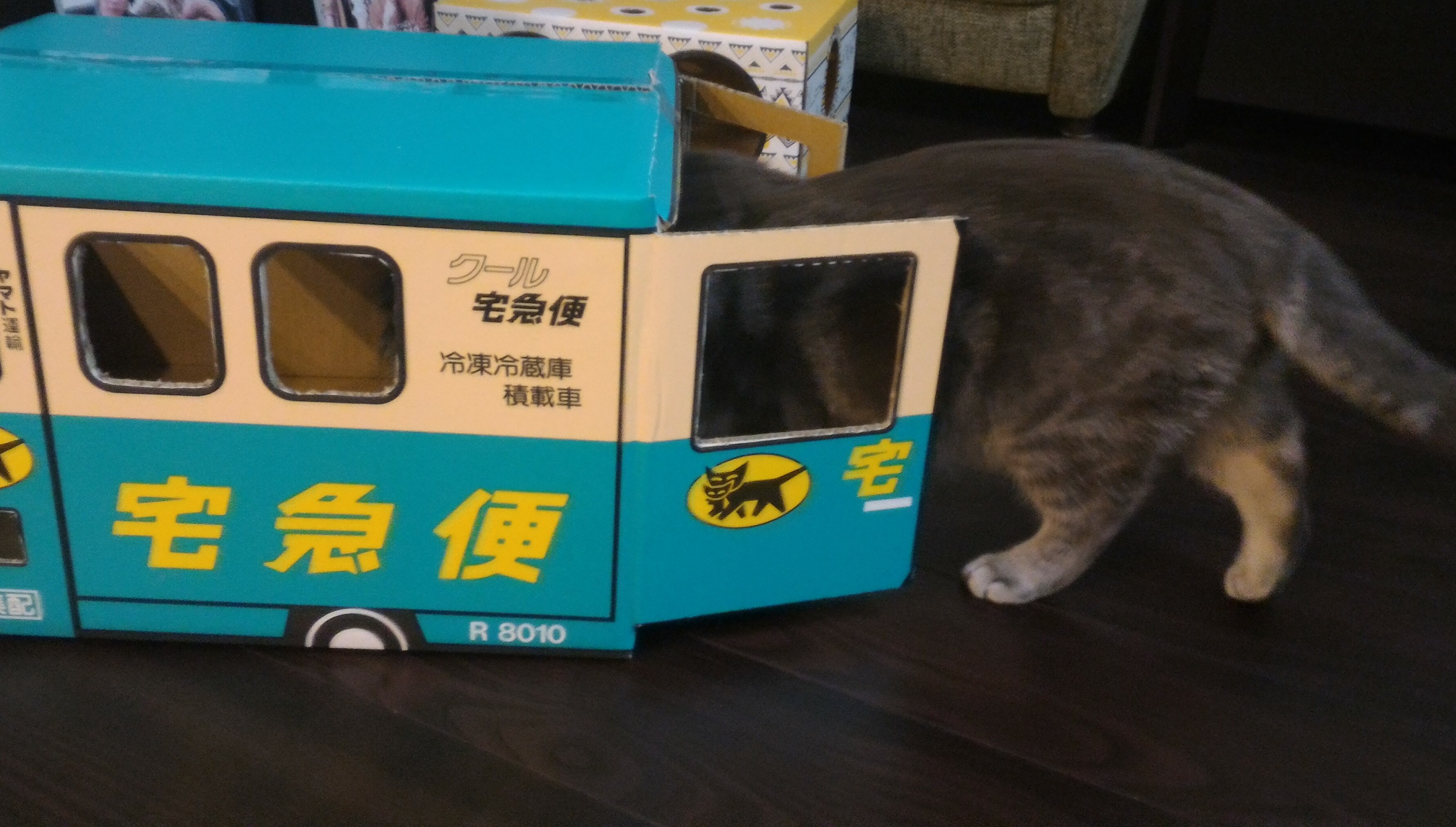 ヤマト運輸のダンボールで噂の猫ドライバーになってみた 猫ブログ エイトのにゃんこ日記